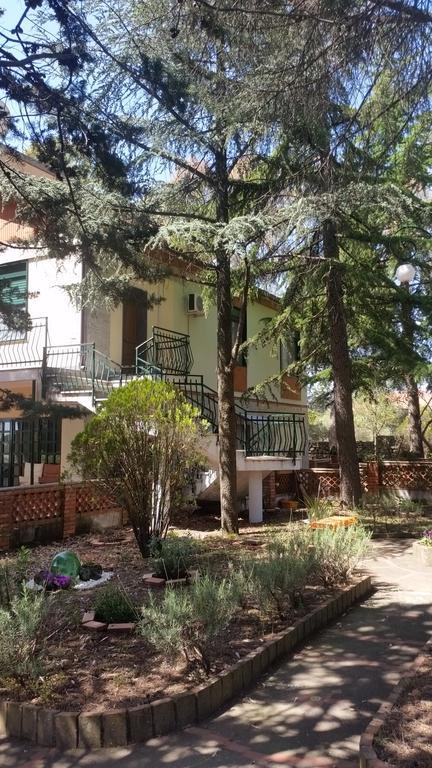 Villa Morgante B&B Pedara Eksteriør billede